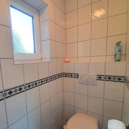Seepferdchen *